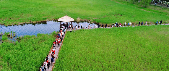 扎龙生态旅游区第 123 张图片