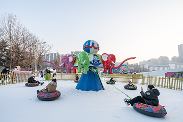 沈阳奥体冰雪嘉年华第 77 张图片