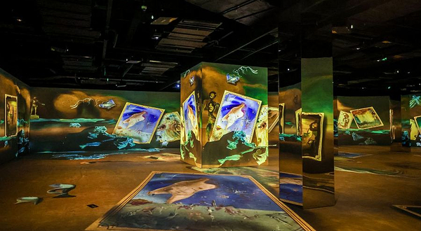 阿尔卑斯光影世界