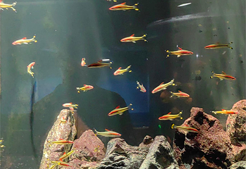临汾海昌海洋探索馆第 76 张图片