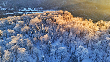 威虎山国家森林公园