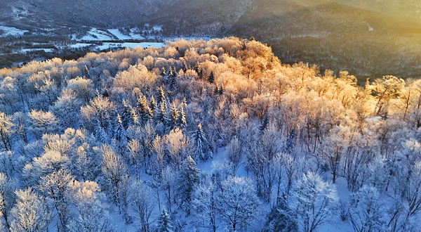 威虎山国家森林公园