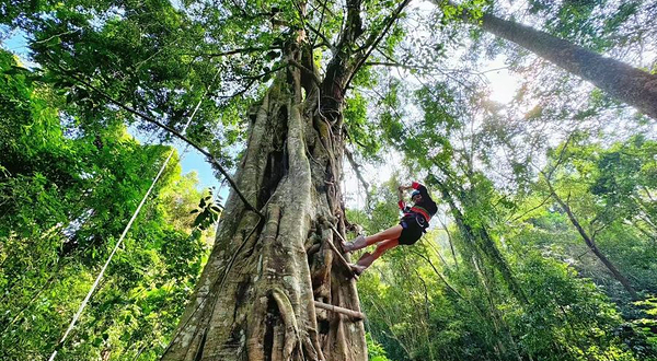 基诺达娘雨林探秘景区