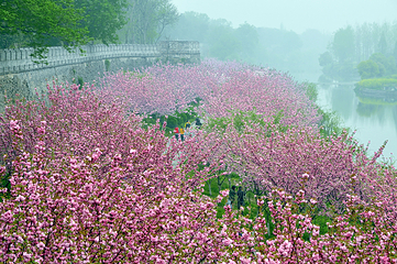 荆州古城历史文化旅游区第 62 张图片
