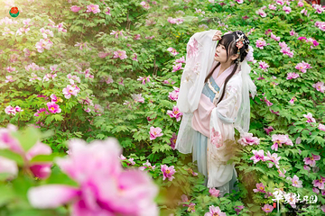 华夏牡丹园第 12 张图片
