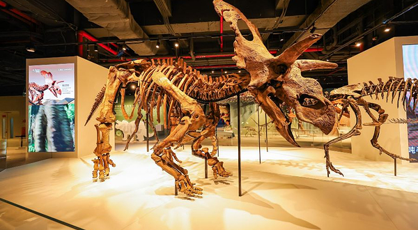 正佳自然科学探索中心