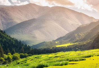 祁连山冰沟河景区第 65 张图片
