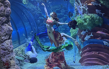 重庆海洋世界第 14 张图片