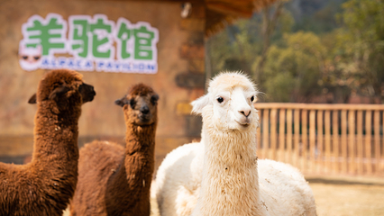 唯美养生谷旅游度假区第 6 张图片