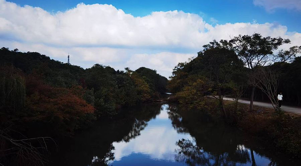 上海市嘉朱生态桂花园
