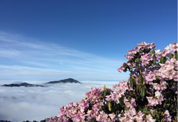轿子雪山第 13 张图片