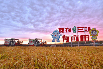 七星旅游名镇第 13 张图片