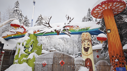 雪乡大雪谷第 56 张图片