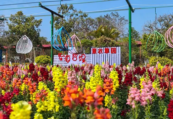 花都香草世界第 55 张图片