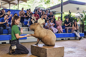 万态野生动物世界