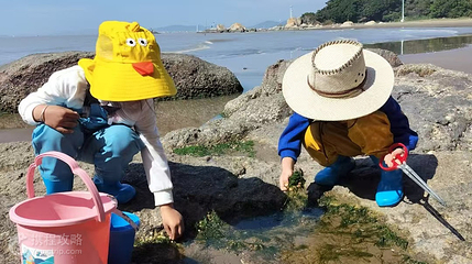 珠海哪吒闹海赶海俱乐部第 4 张图片