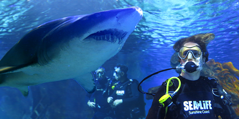 阳光海岸水族馆第 29 张图片
