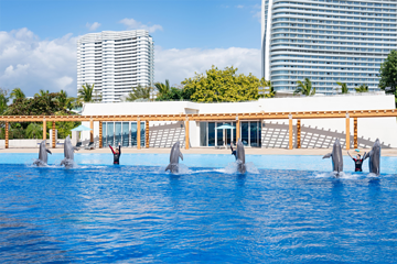 三亚亚特兰蒂斯失落的空间水族馆第 42 张图片