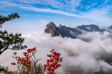 灵山风景区第 45 张图片