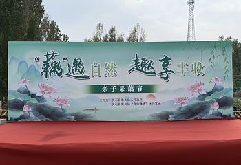 荷你藕遇第 12 张图片