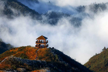 大围山国家森林公园第 45 张图片