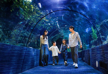 郑州海洋馆第 27 张图片