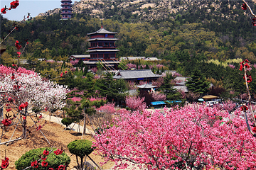 赤山风景区第 30 张图片