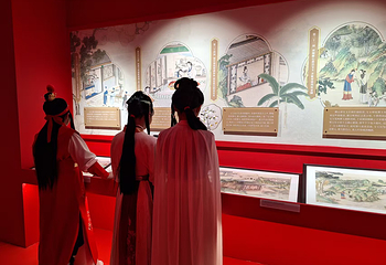 锦官入梦·蜀韵红楼——《红楼梦》数字艺术展第 5 张图片