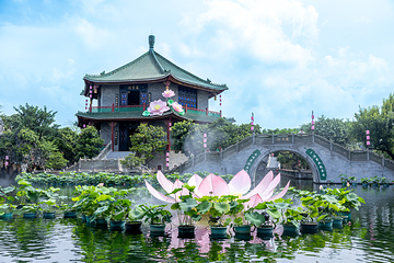 宝墨园第 88 张图片