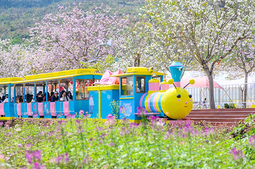 蓝田紫林旅游度假区第 5 张图片