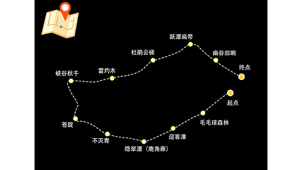 高黎贡山南段西支线毛毛球原始森林第 2 张图片