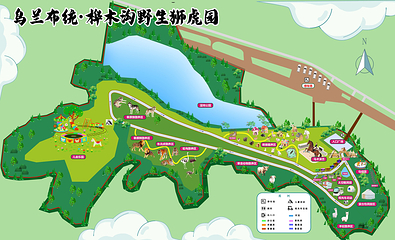 乌兰布统草原狮虎园第 5 张图片
