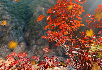 郑国渠旅游风景区第 37 张图片