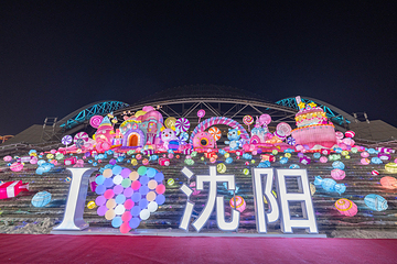 沈阳奥体冰雪嘉年华第 92 张图片