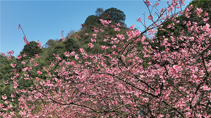 王仙岭旅游风景区第 19 张图片