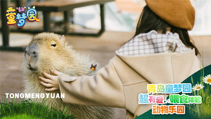 青岛童梦园第 4 张图片