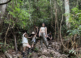 基诺山巴朵村雨林徒步