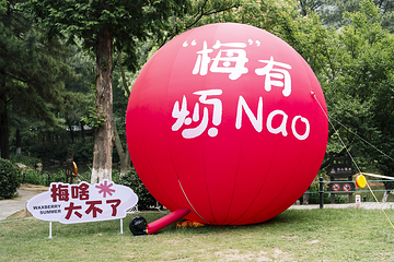 宝岩生态观光园第 4 张图片