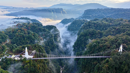 碧峰峡景区第 38 张图片