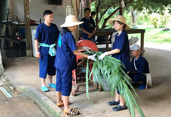 湄沙大象营第 6 张图片