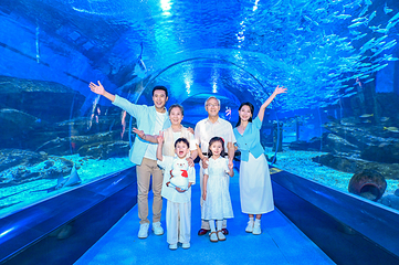 海合安武汉极地海洋公园第 152 张图片