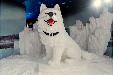 华夏冰雪世界(郑州店)第 11 张图片