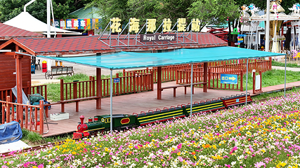 花海那拉提第 63 张图片