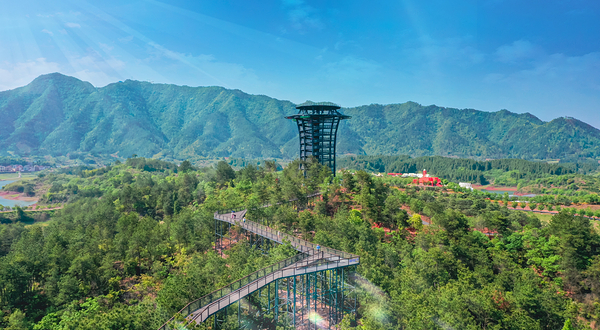 千岛湖湖上森林度假乐园