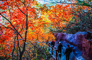 云台山风景名胜区第 108 张图片