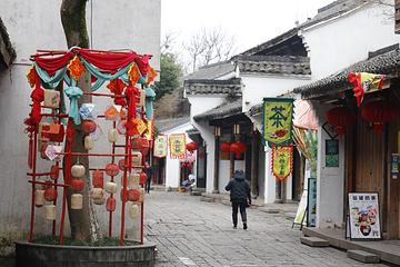 西溪国家湿地公园第 105 张图片