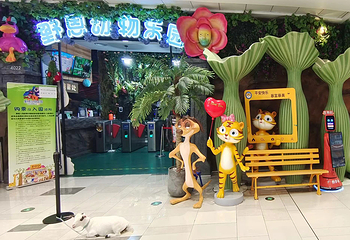 野恩动物乐园(龙岗万达广场店)第 1 张图片
