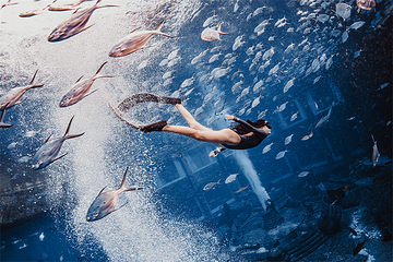 三亚亚特兰蒂斯失落的空间水族馆第 49 张图片