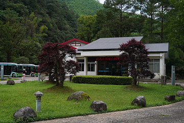 武夷山国家公园1号风景道第 13 张图片