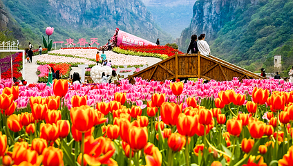 河南宝泉旅游区第 21 张图片